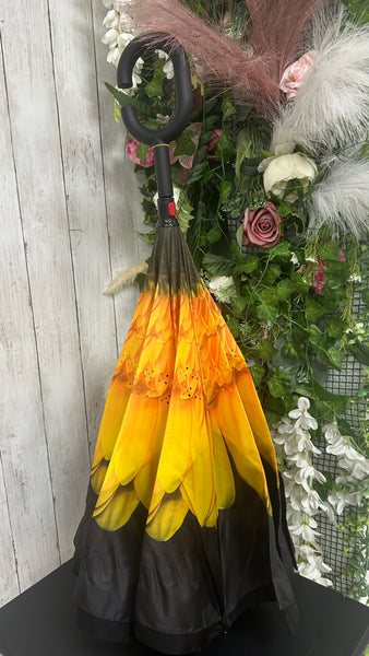 Umbrella £13.99